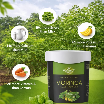 VanAmrut Greens Moringa Leaf Powder | 200gm